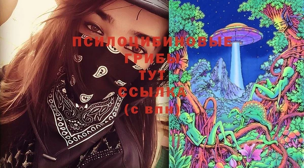 ешки Вязники
