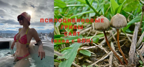 ешки Вязники